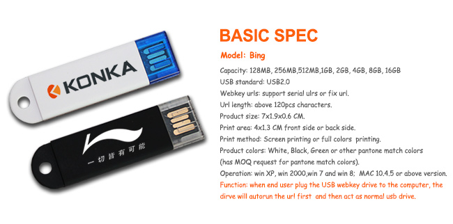 Bing USB Webkey Drive