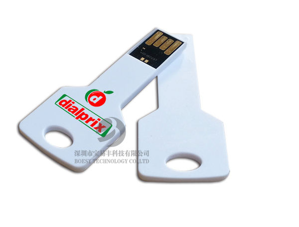 Plastic key USB drive