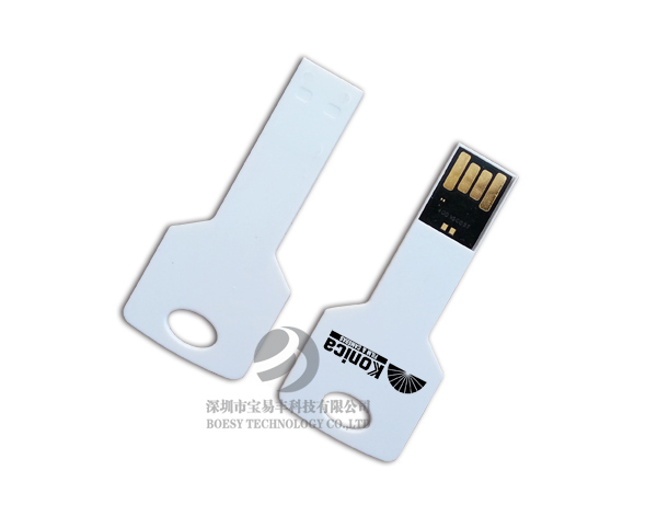 Plastic key usb drive