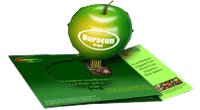 usb flyer